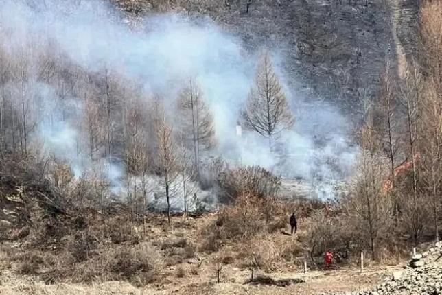 明火已撲滅，初步判斷由祭祀用火引發(fā)！今年已發(fā)生多起